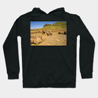 Temple Offering Hoodie